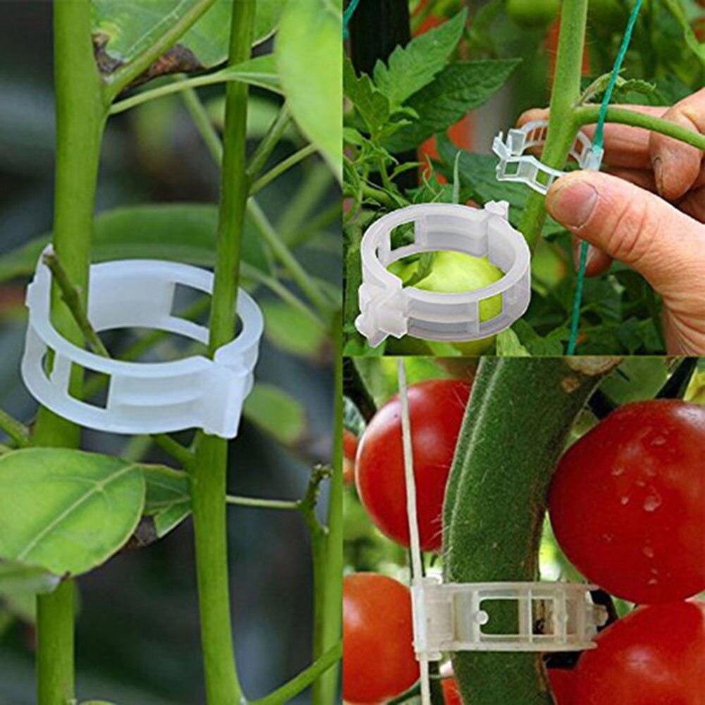 50/100 Stück Plastik Pflanzenklammern Unterstützung Verbindung Wiederverwendbare Schutz Veredelung Fixierung Werkzeug Gartenbedarf Für Gemüse Tomate