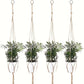 3 Stück/Set, Garten Woven Hängender Rahmen Blumentopf Netz Tasche Hanfseil Einfache Innen- und Außenhängende Korbdekoration