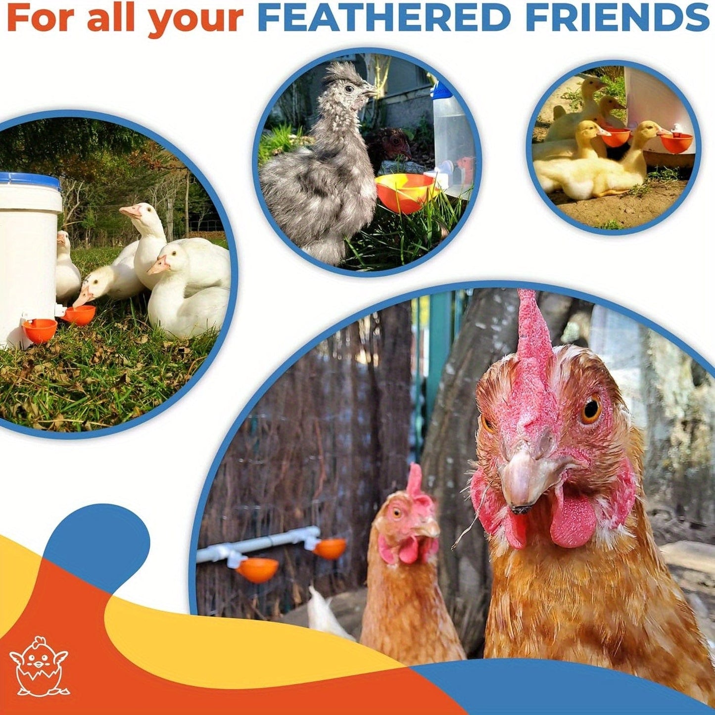 5 Packs, Große automatische Hühnertrinkbecher Hühnertränker geeignet für Küken, Enten, Gänse,Truthahn und Kaninchen Geflügeltränkerset (Orange)