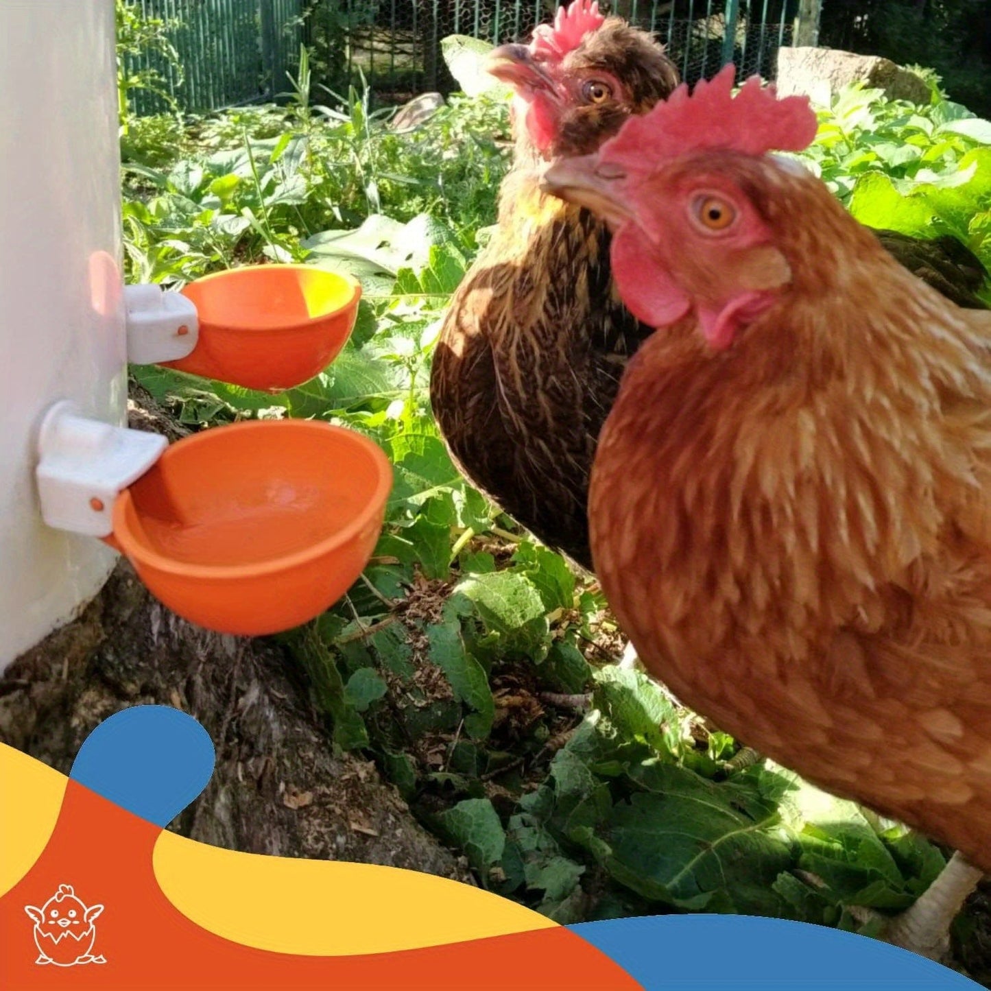 5 Packs, Große automatische Hühnertrinkbecher Hühnertränker geeignet für Küken, Enten, Gänse,Truthahn und Kaninchen Geflügeltränkerset (Orange)