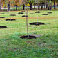 6 Packs, Unkrauthemmende Landschaftsfolie, Garten-Unkrautmatte, Grasabdeckung, Gartenrasen-Pflanze Unkrauthemmendes Tuch, Kann verwendet werden, um das Unkrautwachstum zu verhindern