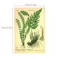 30 Stück/Set Bio-Postkarten Botanische Abteilung Wandaufkleber, Raumdekorationskarten, Schöne Karten, 9.91cm*14.99cm