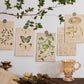 30 Stück/Set Bio-Postkarten Botanische Abteilung Wandaufkleber, Raumdekorationskarten, Schöne Karten, 9.91cm*14.99cm