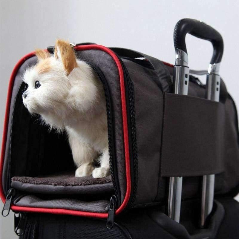 Erweiterbare tragbare Haustier Hund Auto Reise Tasche für kleine Hunde Oxford atmungsaktiver Katzen Tragetasche Outdoor Auto Reise Zubehör