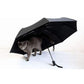 Ultralight Umbrella Women Automatic Folding Men Umbrellas Ladies Folding Since Opening Closing Paraguas 8k 10k