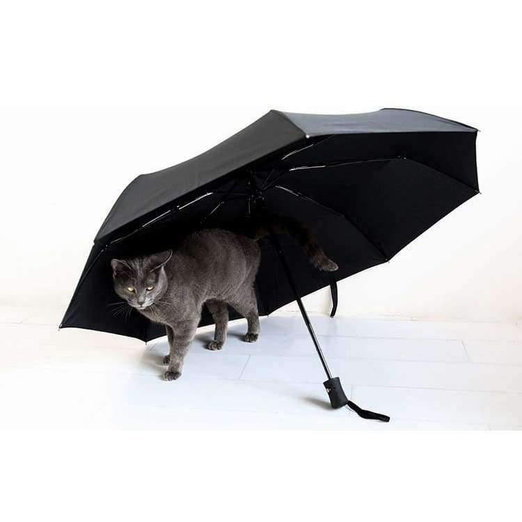 Ultralight Umbrella Women Automatic Folding Men Umbrellas Ladies Folding Since Opening Closing Paraguas 8k 10k