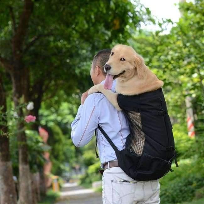 Hundetasche Träger Haustier Hund Rucksack für große mittelgroße kleine Hunde Atmungsaktive Reise Hundeträger für Reiten Wandern S-XL