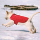 Kleidung Französische Hundejacke Winter Haustierbekleidung Wasserdicht Reflektierender Mantel ropa para perro Für Kleine Mittlere Große Große Hunde