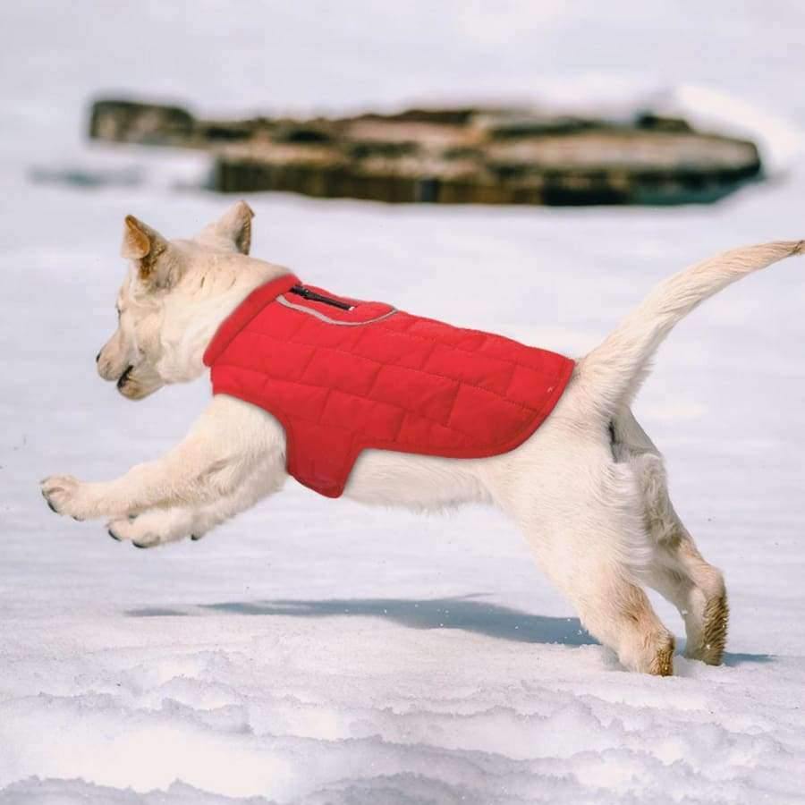 Kleidung Französische Hundejacke Winter Haustierbekleidung Wasserdicht Reflektierender Mantel ropa para perro Für Kleine Mittlere Große Große Hunde