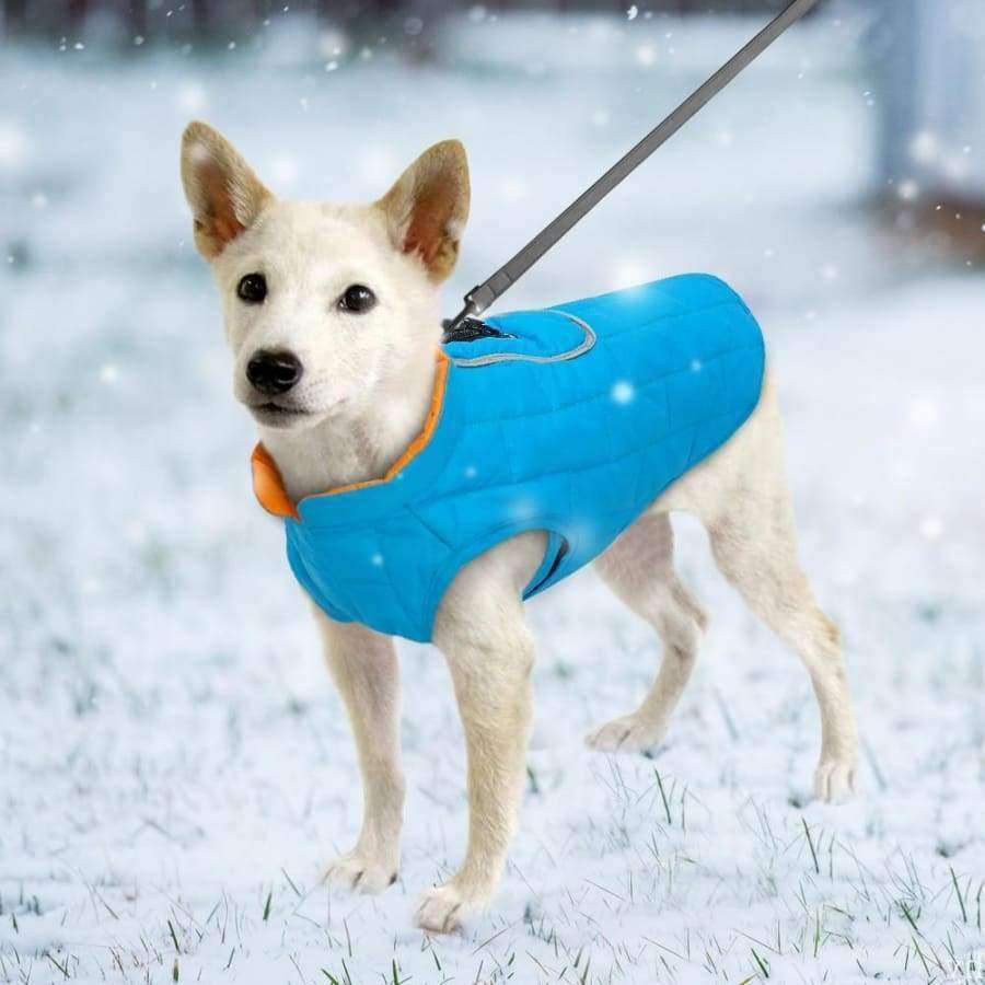 Kleidung Französische Hundejacke Winter Haustierbekleidung Wasserdicht Reflektierender Mantel ropa para perro Für Kleine Mittlere Große Große Hunde