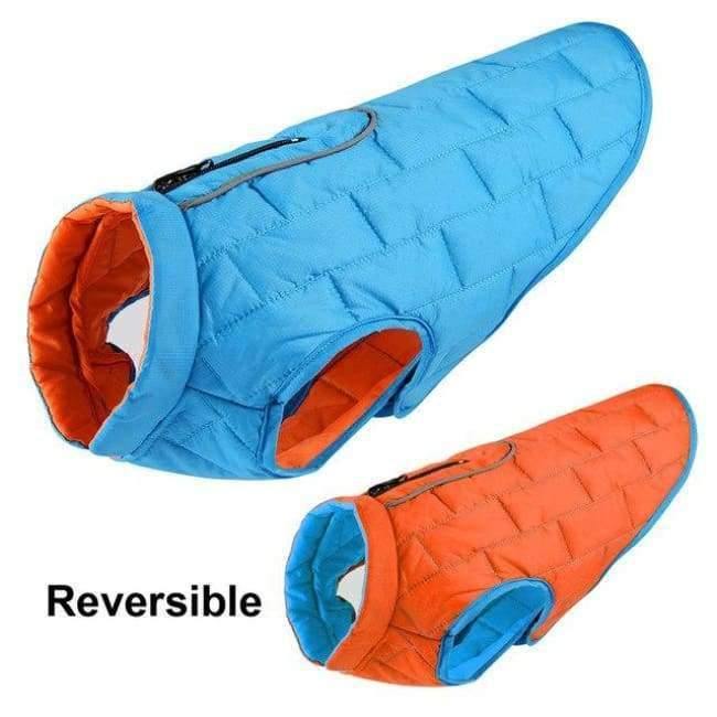 Kleidung Französische Hundejacke Winter Haustierbekleidung Wasserdicht Reflektierender Mantel ropa para perro Für Kleine Mittlere Große Große Hunde