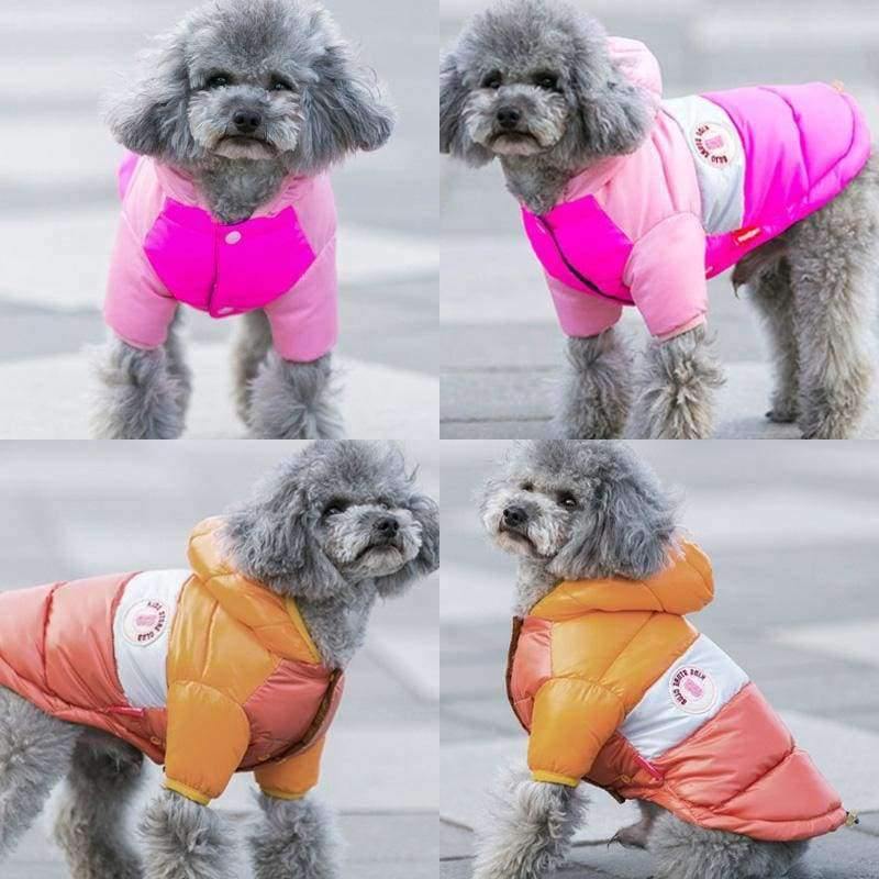 Winter Haustier Hund Kleidung Warme Daunenjacke Wasserdicht Mantel S-XXL Hoodies für Chihuahua Kleine Mittelgroße Hunde Welpe PETASIA