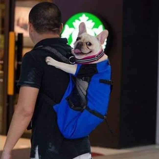Hundetasche Träger Haustier Hund Rucksack für große mittelgroße kleine Hunde Atmungsaktive Reise Hundeträger für Reiten Wandern S-XL