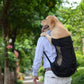 Hundetasche Träger Haustier Hund Rucksack für große mittelgroße kleine Hunde Atmungsaktive Reise Hundeträger für Reiten Wandern S-XL