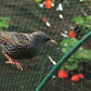 Schützen Sie Ihre Pflanzen, Früchte, Bäume und Gemüse mit 1 Stück Vogelschutznetz Rehzaun Teichnetz!