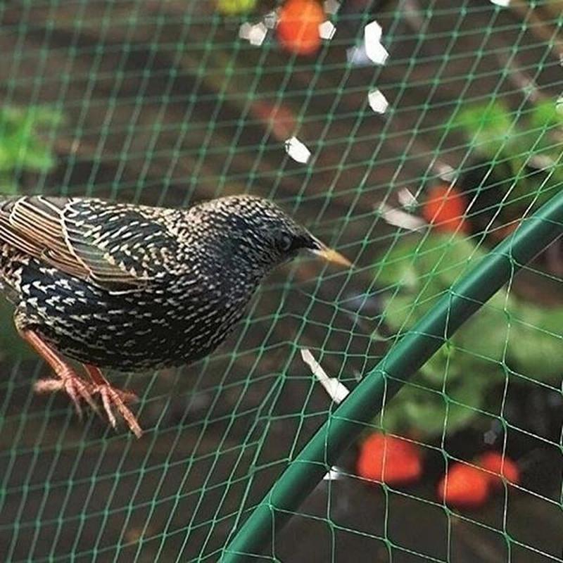 Schützen Sie Ihre Pflanzen, Früchte, Bäume und Gemüse mit 1 Stück Vogelschutznetz Rehzaun Teichnetz!