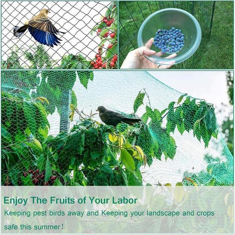 Schützen Sie Ihre Pflanzen, Früchte, Bäume und Gemüse mit 1 Stück Vogelschutznetz Rehzaun Teichnetz!