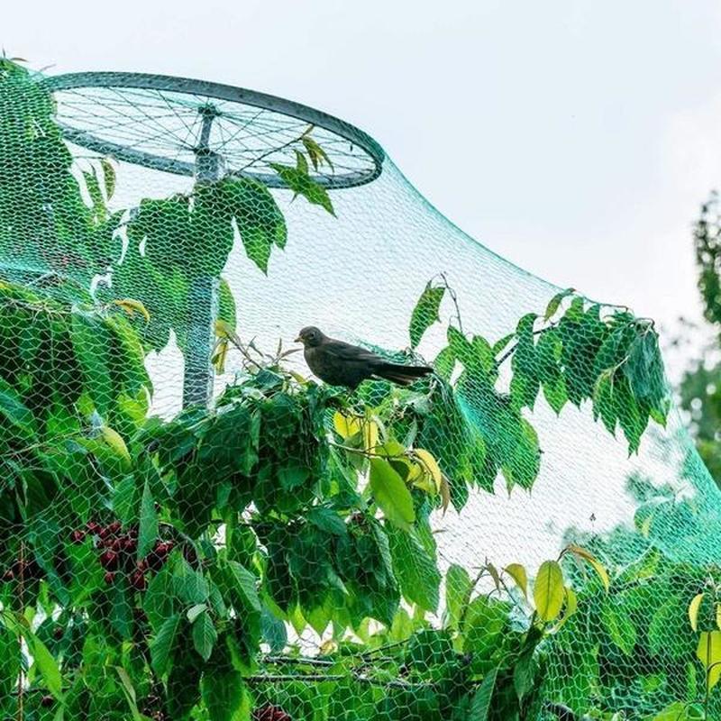 Schützen Sie Ihre Pflanzen, Früchte, Bäume und Gemüse mit 1 Stück Vogelschutznetz Rehzaun Teichnetz!