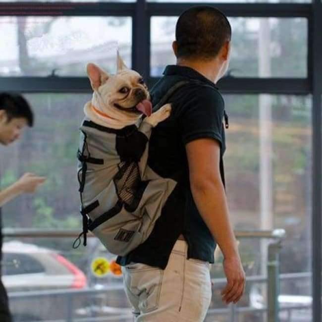 Hundetasche Träger Haustier Hund Rucksack für große mittelgroße kleine Hunde Atmungsaktive Reise Hundeträger für Reiten Wandern S-XL