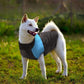 Große Hundebekleidung für Französische Bulldogge Winter Haustierbekleidung Mantel Ropa Perro Golden Retriever Labrador Hundebekleidung Jacke 2XL-7XL