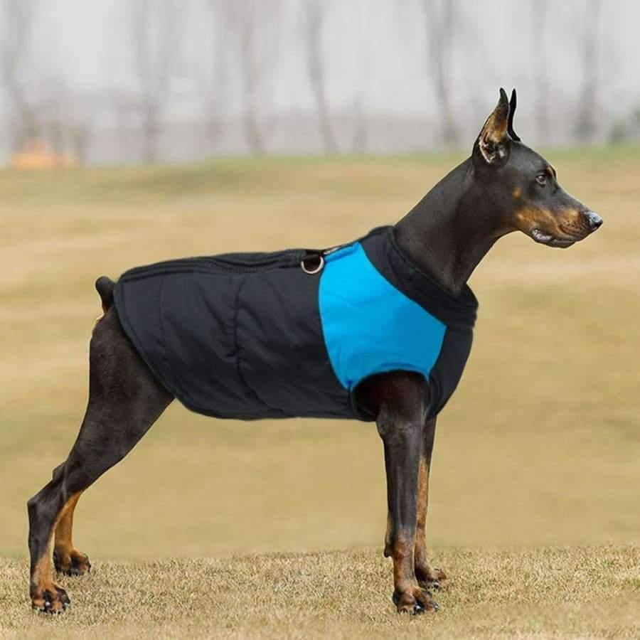 Große Hundebekleidung für Französische Bulldogge Winter Haustierbekleidung Mantel Ropa Perro Golden Retriever Labrador Hundebekleidung Jacke 2XL-7XL