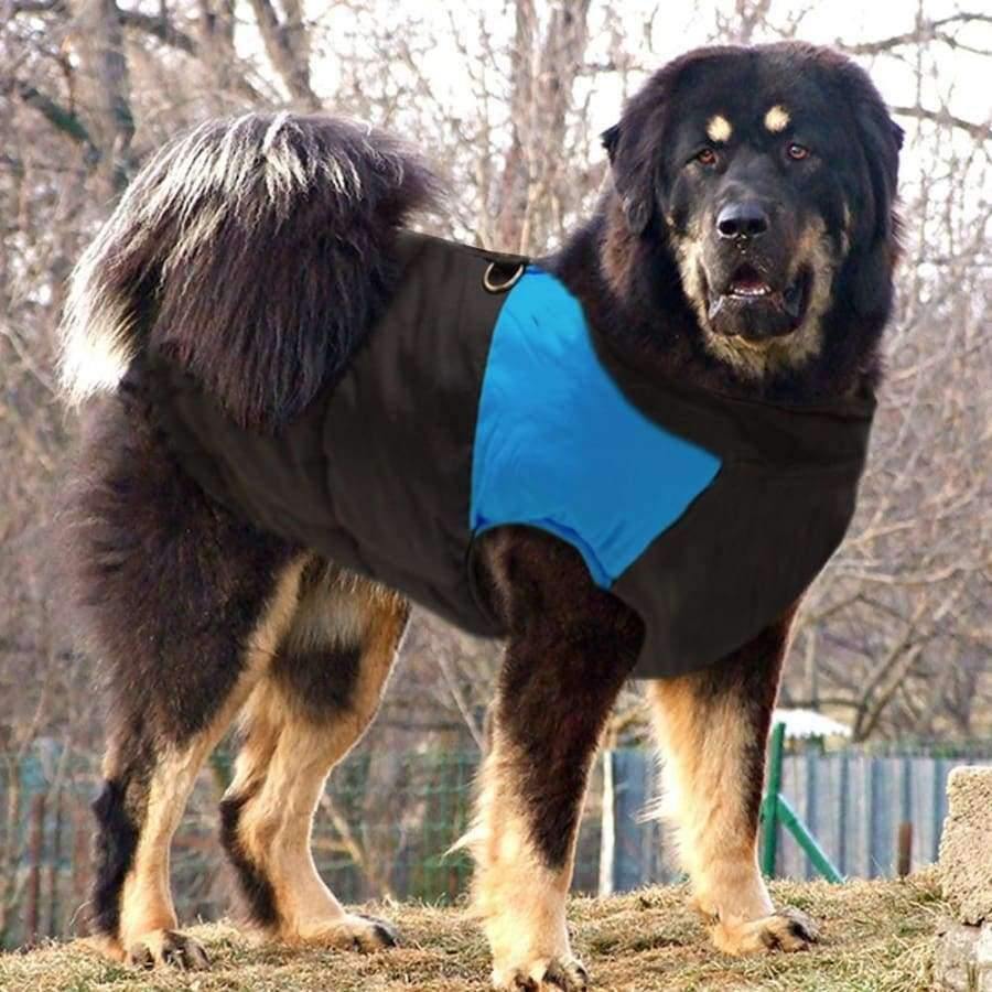 Große Hundebekleidung für Französische Bulldogge Winter Haustierbekleidung Mantel Ropa Perro Golden Retriever Labrador Hundebekleidung Jacke 2XL-7XL