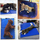 Kühlmatte Haustier Eispad Teddy Matratze Matten Klein Groß Katzenkissen Sommer Kühlbett Gel Haustier Kühlmatte für Hunde XL XXL