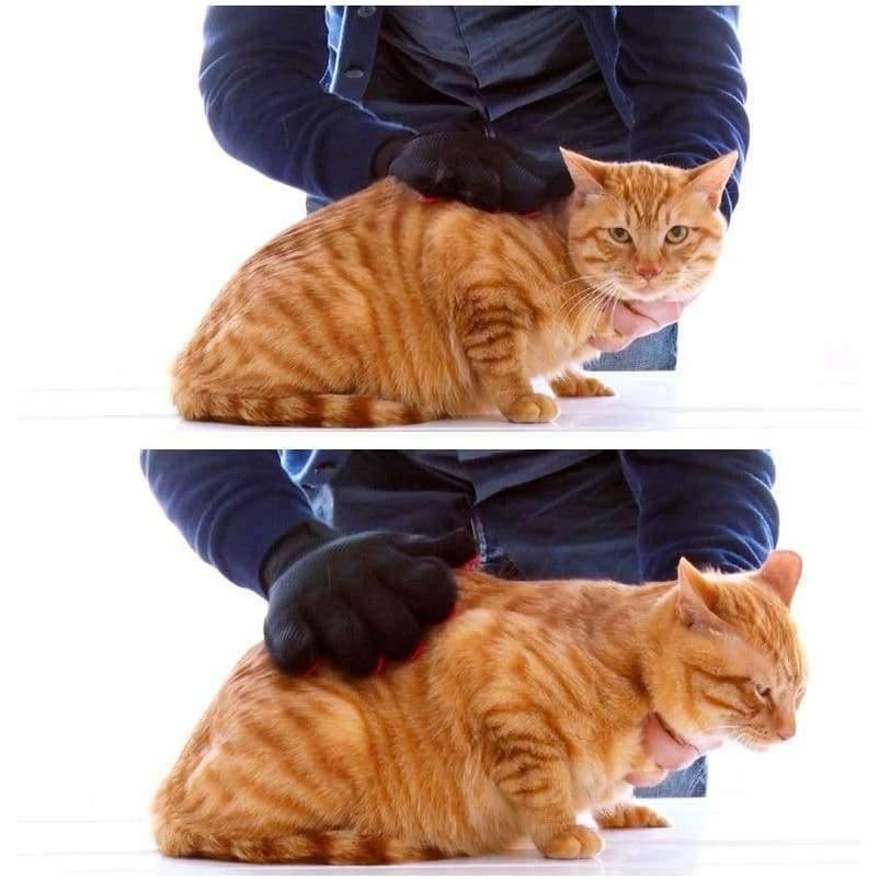 Haustier Hund Katze Bürste Reinigungsbürste Haar Reinigungs-Handschuh Haustier Hund Katze Massage Haarentfernung Pflegewerkzeug