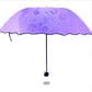 Ladies' umbrella windproof sun protection magical flower plate ultraviolet protection parasol sun rain folding umbrellas FG