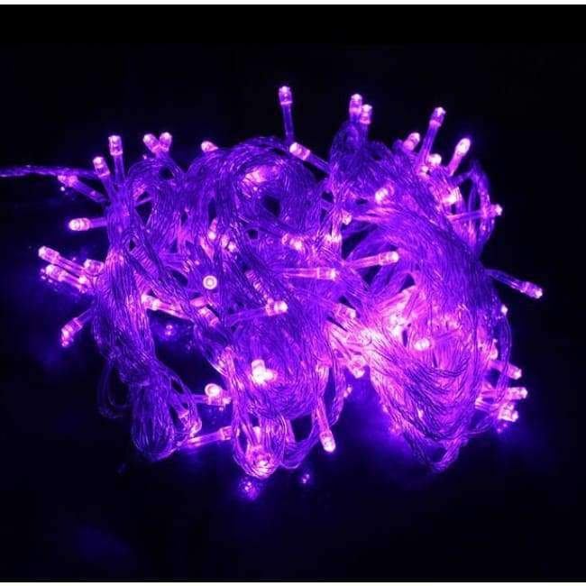SXZM 10M 20M 30M 50M 100M LED Lichterkette Fairy light Feiertagsdeko AC220V 110V Wasserdichtes Außenlicht mit Controller
