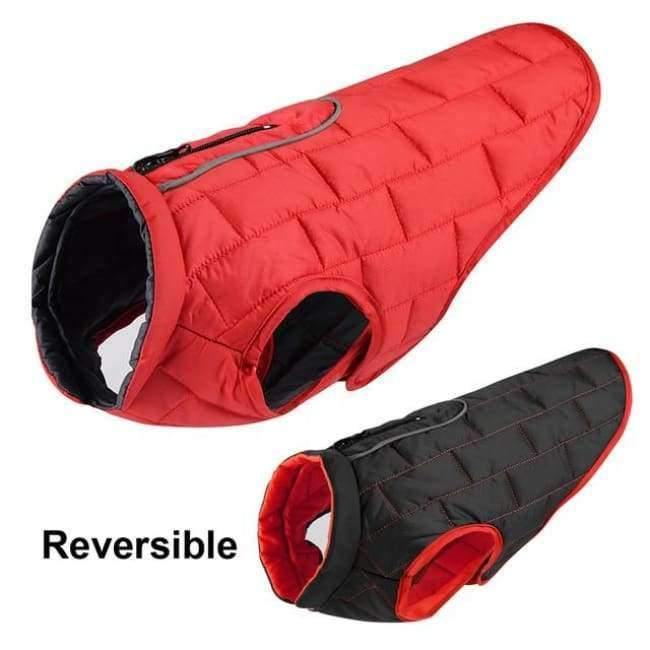 Kleidung Französische Hundejacke Winter Haustierbekleidung Wasserdicht Reflektierender Mantel ropa para perro Für Kleine Mittlere Große Große Hunde