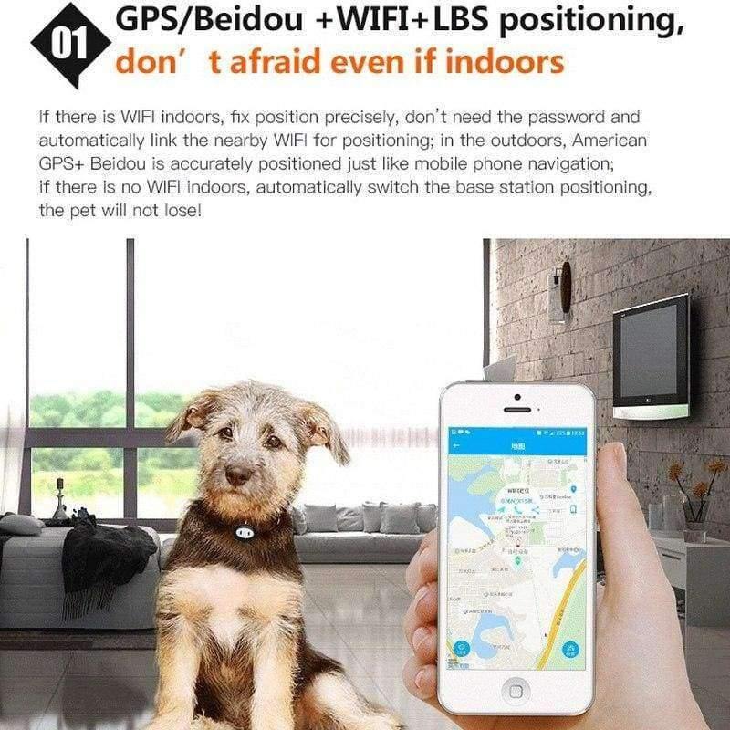 Tracker für Haustiere Geldbörse Auto Kind Haustiere Taschen Locator Tracker Finder Mehrfachpositionierung GPS Beidou WiFi LBS Positionierung