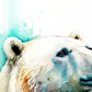 Frendorf | Eisbär Aquarell Wandkunst
