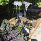 Frendorf | Blumenia Solar LED Gartenleuchten | Wetterfest | Solarbetrieben | Dekorative Beleuchtung für Außenbereiche
