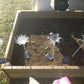 Frendorf | Blumenia Solar LED Gartenleuchten | Wetterfest | Solarbetrieben | Dekorative Beleuchtung für Außenbereiche