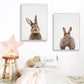 Rabbit BunnyTail Woodland Animal - Leinwand Wandkunst Malerei