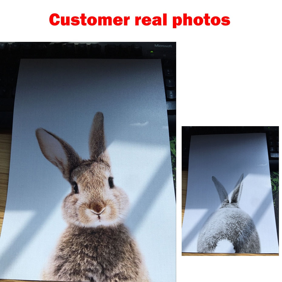 Rabbit BunnyTail Woodland Animal - Leinwand Wandkunst Malerei