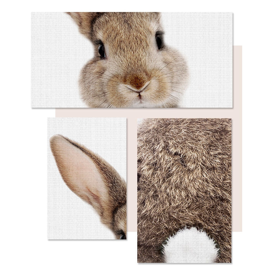 Rabbit BunnyTail Woodland Animal - Leinwand Wandkunst Malerei