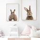 Rabbit BunnyTail Woodland Animal - Leinwand Wandkunst Malerei