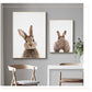Rabbit BunnyTail Woodland Animal - Leinwand Wandkunst Malerei