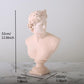 Frendorf | SculpGreek Zeitlose Büstenstatue | Klassische Eleganz | Dekor für Zuhause