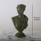 Frendorf | SculpGreek Zeitlose Büstenstatue | Klassische Eleganz | Dekor für Zuhause