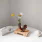Frendorf | LoopSphere Hydroponik Vase im Kreisdesign | Modernes Pflanzgefäß | Minimalistische Dekoration | Für Zuhause oder Büro