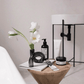 Frendorf | LoopSphere Hydroponik Vase im Kreisdesign | Modernes Pflanzgefäß | Minimalistische Dekoration | Für Zuhause oder Büro