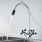 Frendorf | AquaViva Moderner Küchenarmatur mit Farbakzenten | Hochwertig & Flexibel | Perfekt für moderne Küchen