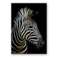 Natur Wildtiere Afrika Wildtiere Schwarz Weiß - Leinwand Wandkunst Malerei