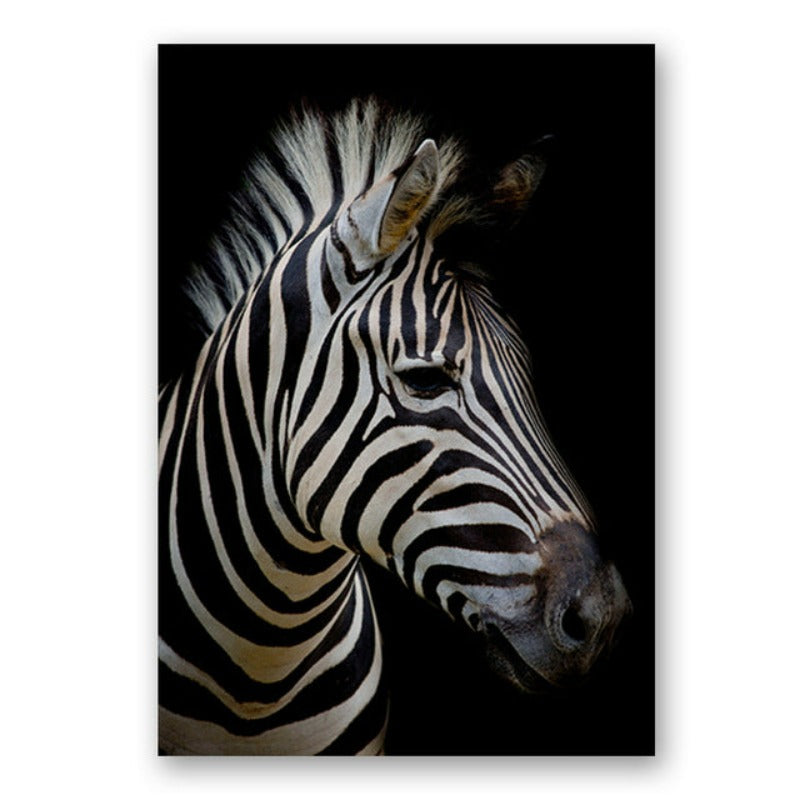 Natur Wildtiere Afrika Wildtiere Schwarz Weiß - Leinwand Wandkunst Malerei