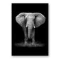 Natur Wildtiere Afrika Wildtiere Schwarz Weiß - Leinwand Wandkunst Malerei