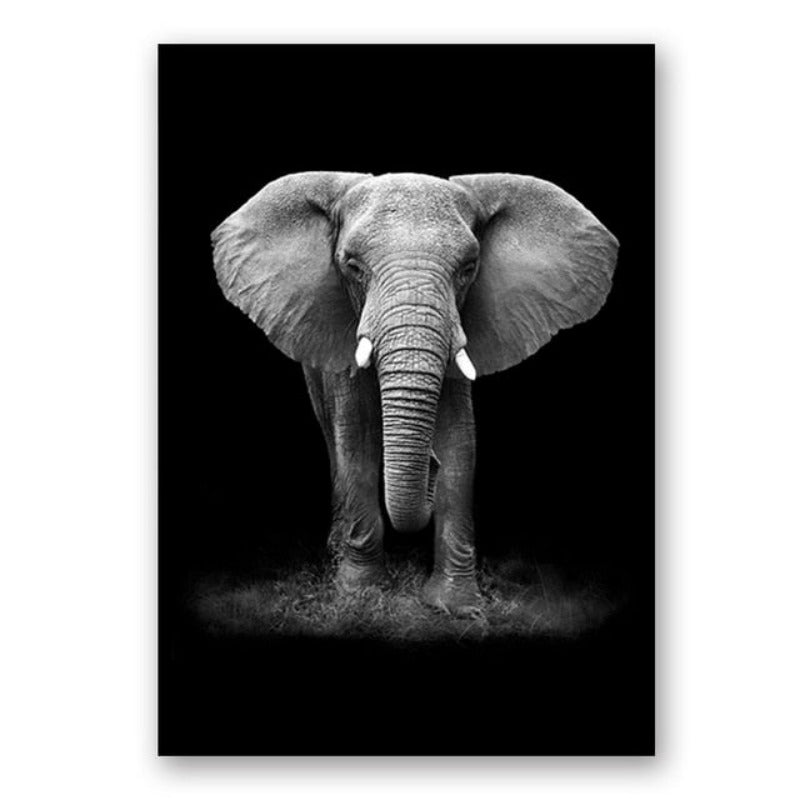 Natur Wildtiere Afrika Wildtiere Schwarz Weiß - Leinwand Wandkunst Malerei