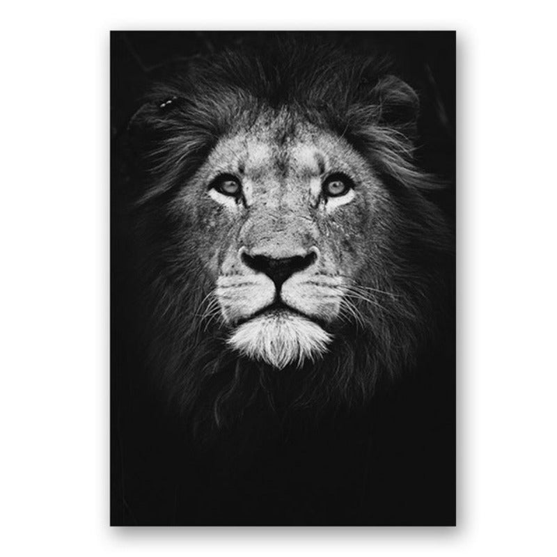 Natur Wildtiere Afrika Wildtiere Schwarz Weiß - Leinwand Wandkunst Malerei